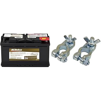 Amazon.com: ACDelco Battery Asm - 94RAGM and Schumacher BAF